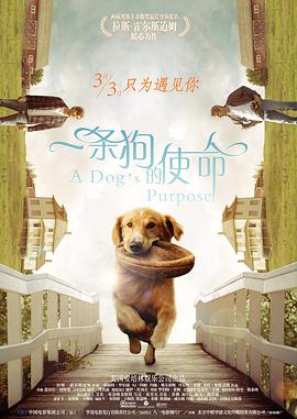 亚洲第一毛片